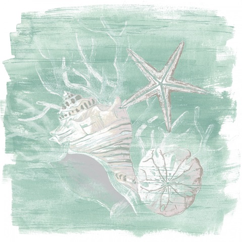 Weathered Shell Assortment I