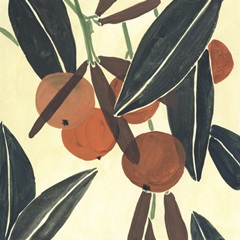 Kumquat II