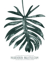 Gemstone Tropicale I