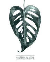 Gemstone Tropicale III