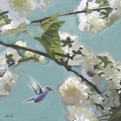 Hummingbird Florals II