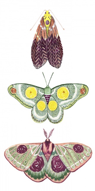 Moth Fairies I