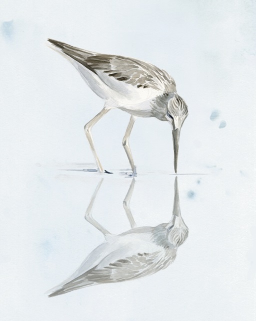 Sandpiper Reflections I