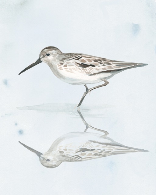 Sandpiper Reflections II