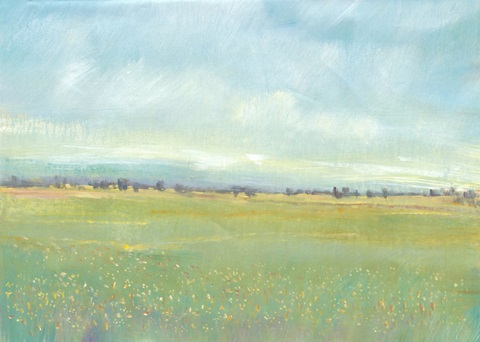 Soft Meadow Light I