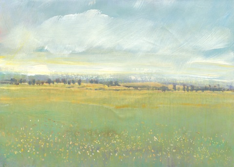 Soft Meadow Light II