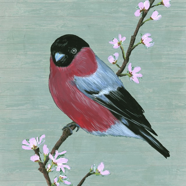 Bird and Blossoms I