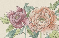 Peony Blooms IV