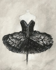 Black Ballet Dress I
