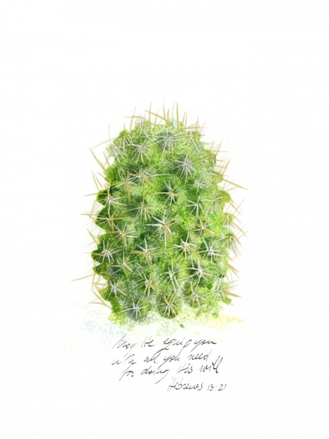 Cactus Verse I