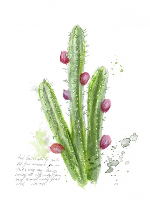 Cactus Verse II
