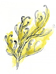Citron Sea Kelp III