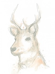 Deer Cameo III