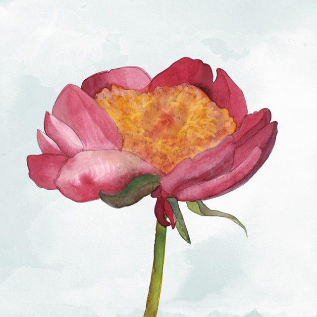 Joyful Peony II