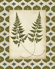 Moroccan Ferns I