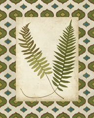 Moroccan Ferns III