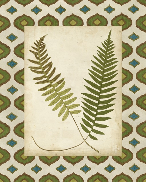 Moroccan Ferns III