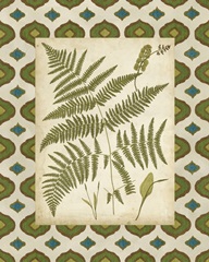 Moroccan Ferns IV