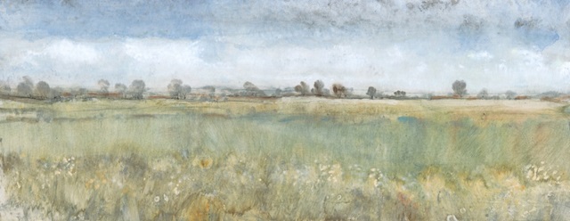 Open Field II