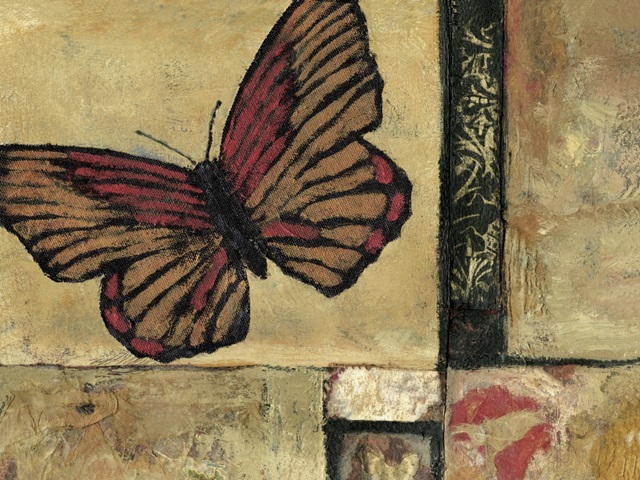 Butterfly in Border I