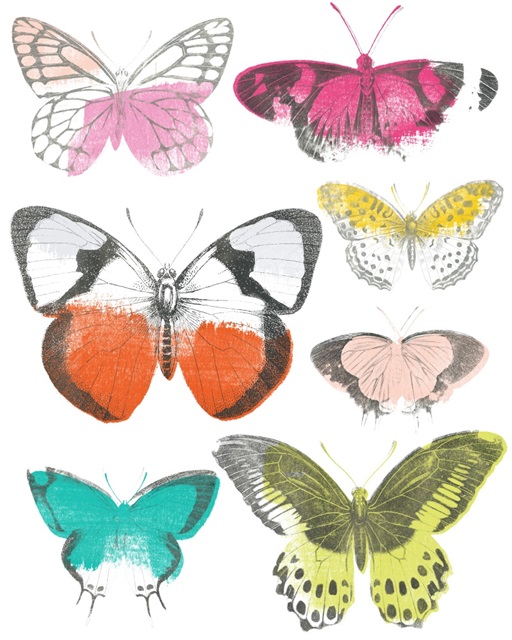 Chromatic Butterflies I