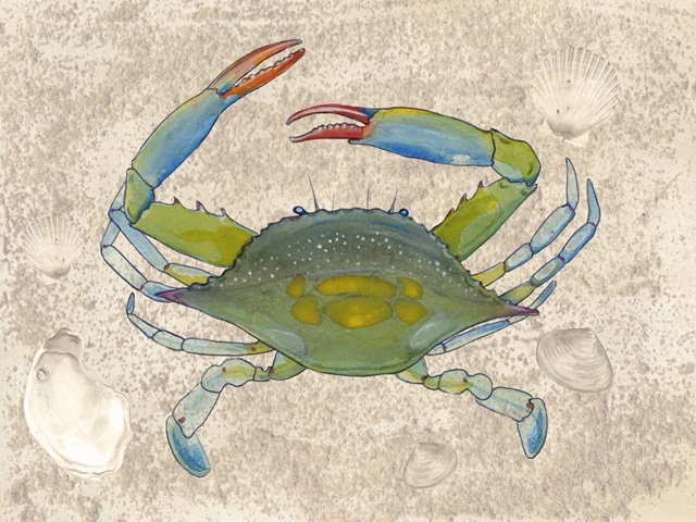 Crabulous I