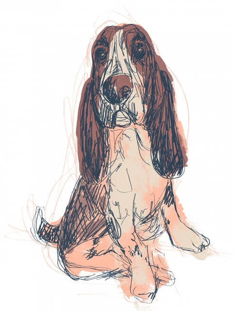 Dog Portrait--Ajax