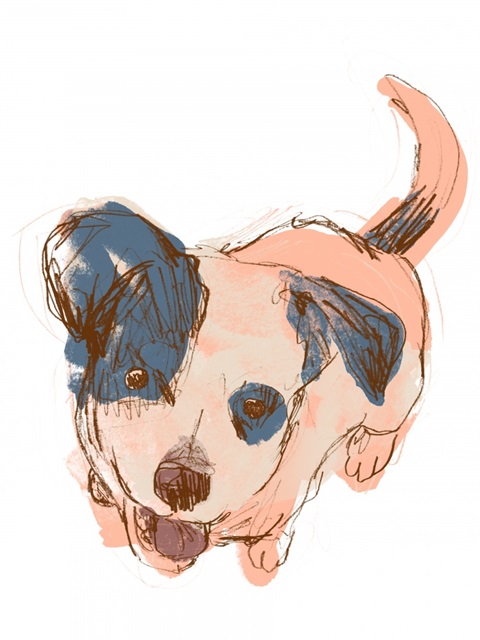 Dog Portrait--Maisie