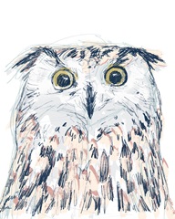 Funky Owl Portrait II