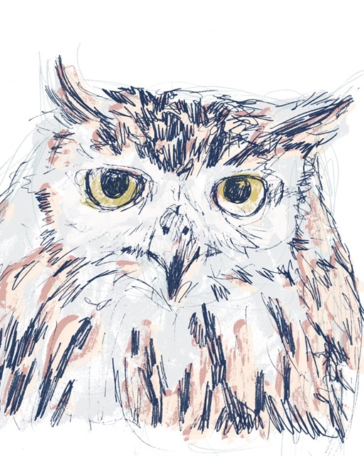 Funky Owl Portrait III