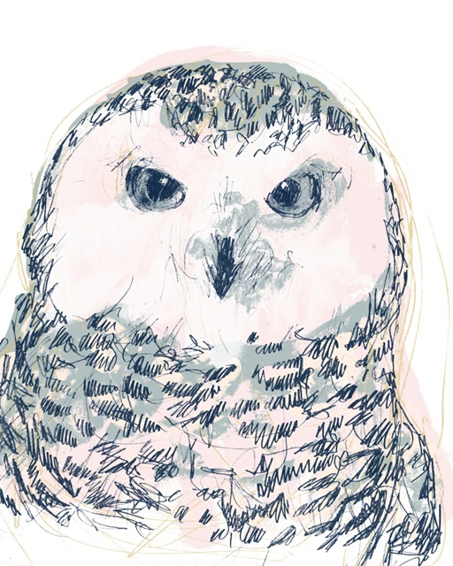 Funky Owl Portrait IV