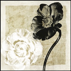 Light From Darkness I