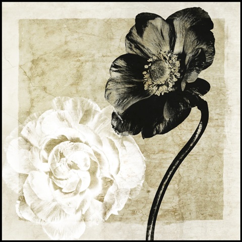 Light From Darkness I