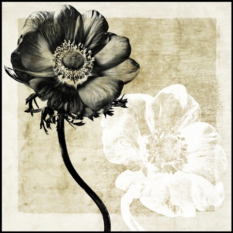 Light From Darkness II