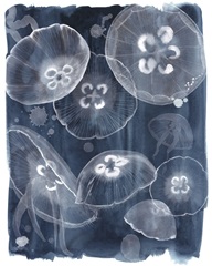 Moon Jellies II