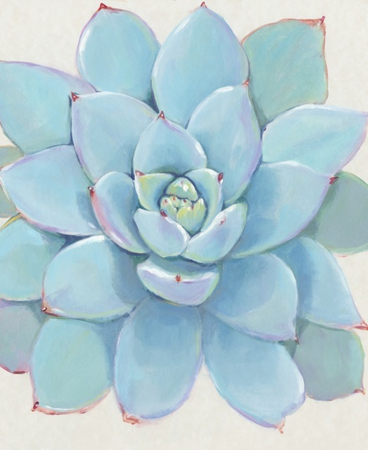 Pastel Succulent I