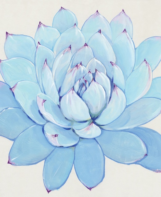 Pastel Succulent II