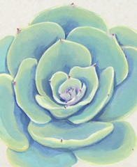 Pastel Succulent IV