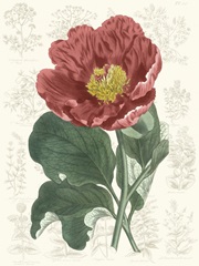 Peony Flower Garden I