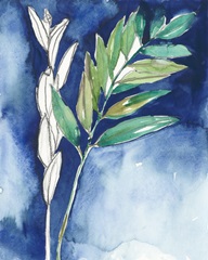Petiole on Indigo I