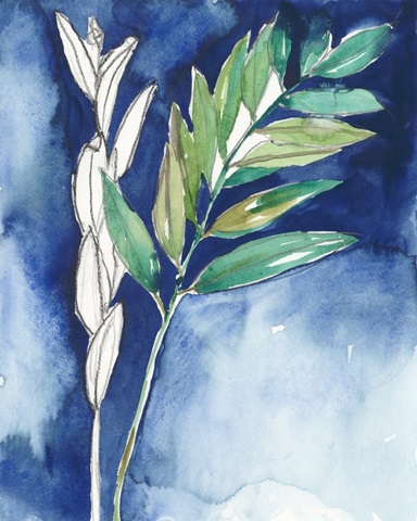 Petiole on Indigo I