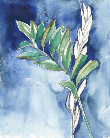 Petiole on Indigo II