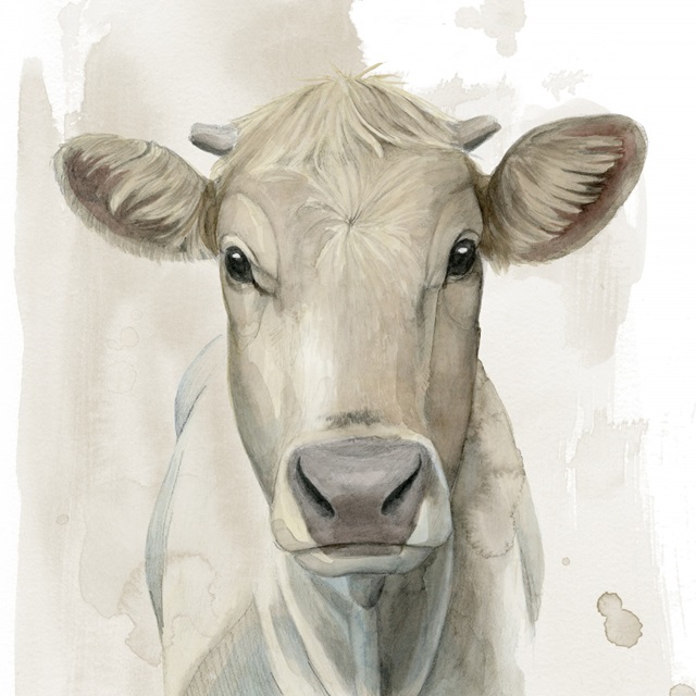 Prairie Bovine I