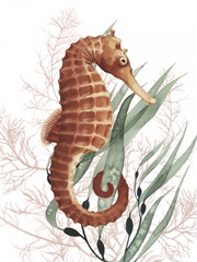 Seahorse Treasures I