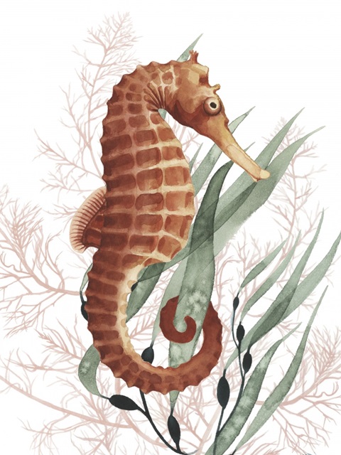 Seahorse Treasures I