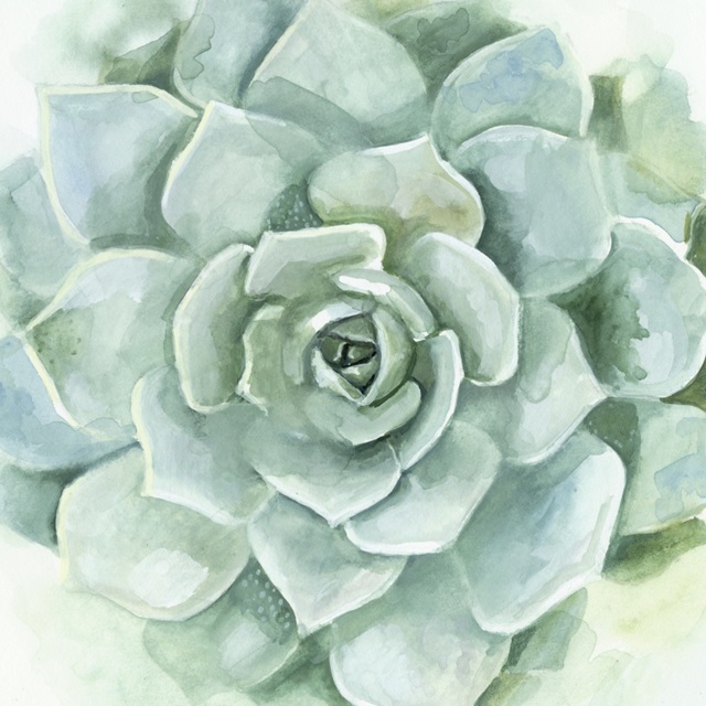 Verdant Succulent I