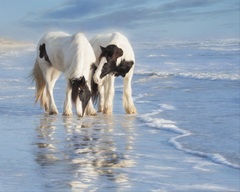 Water Horses I
