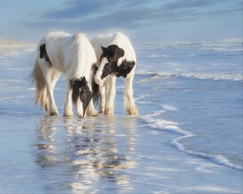 Water Horses I