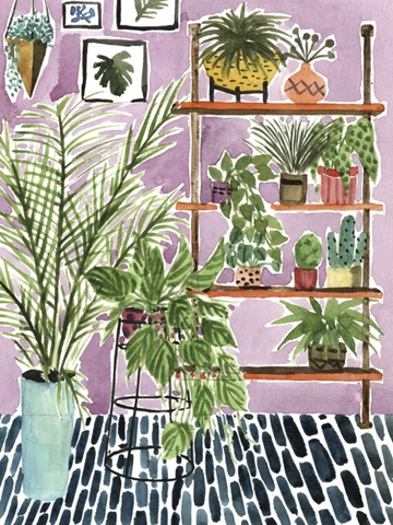 Way to the Jungle II