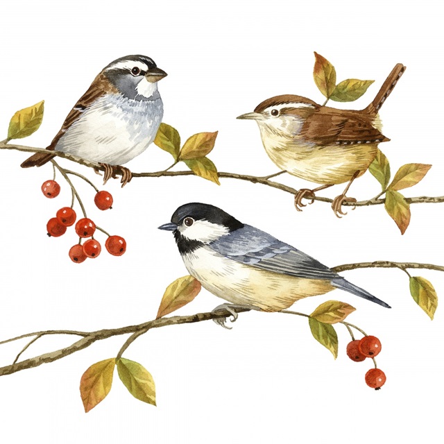 Birds and Berries I